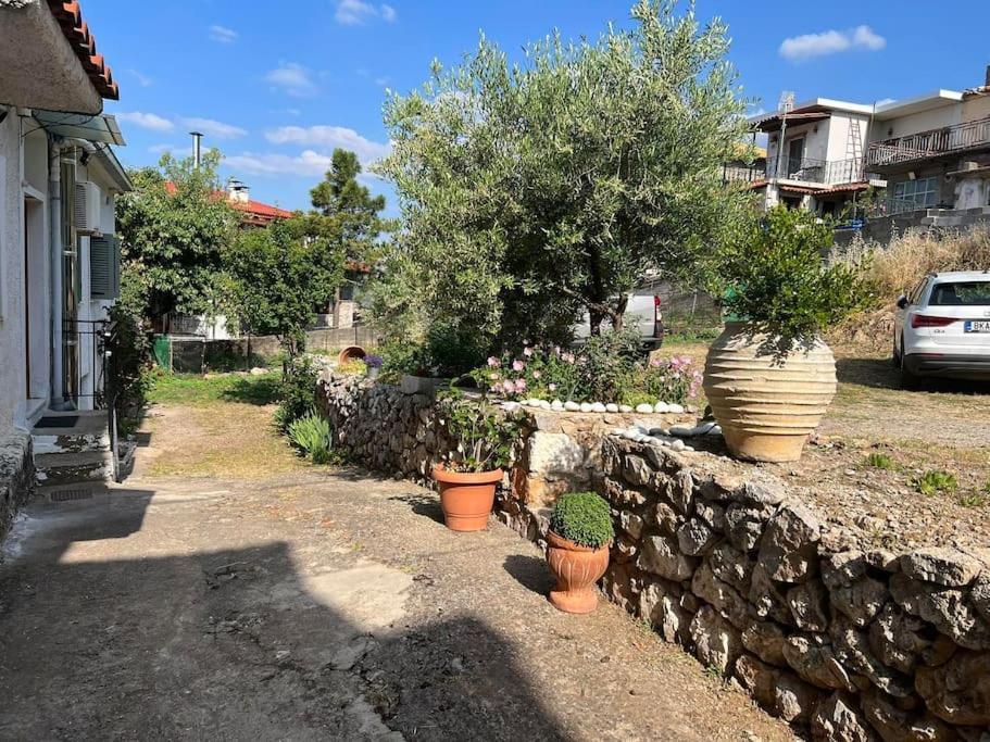 Guesthouse Simou With View 3 Bedrooms Arachova Exterior photo